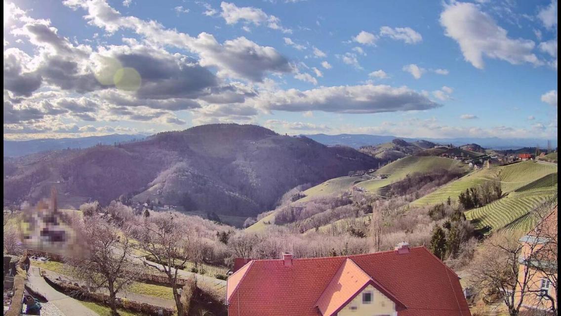 Готель Wohlmuth-Lueckl Кітцек-ім-Заузаль Екстер'єр фото