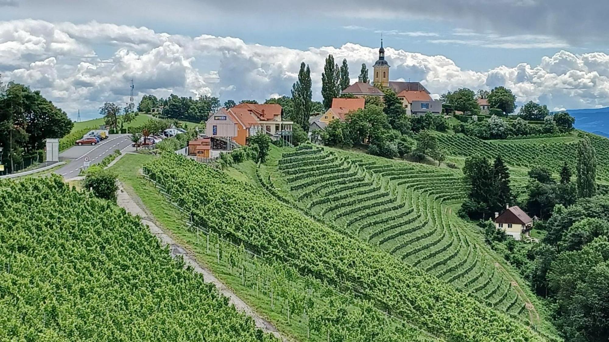 Готель Wohlmuth-Lueckl Кітцек-ім-Заузаль Екстер'єр фото