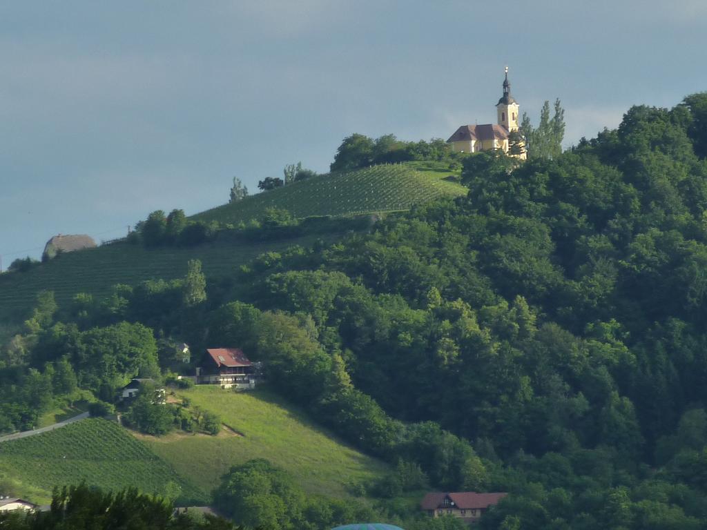 Готель Wohlmuth-Lueckl Кітцек-ім-Заузаль Екстер'єр фото